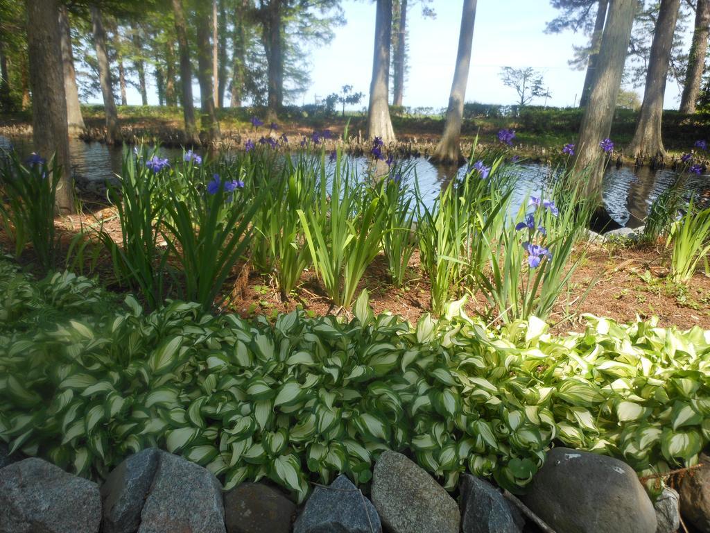 The Pond House Inn Elizabeth City Eksteriør billede